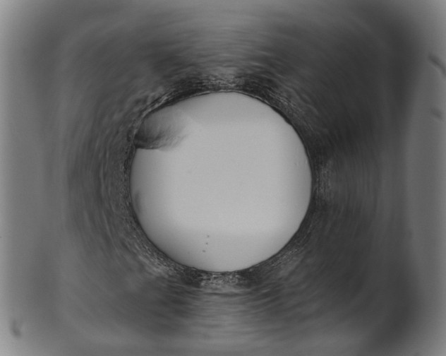 X0000101231201200807111112