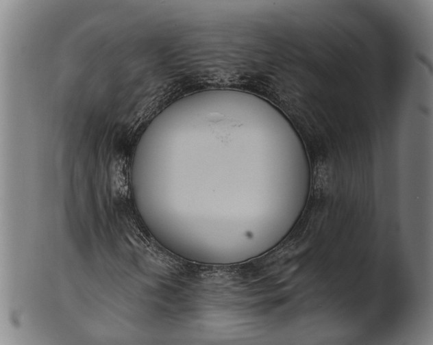 X0000101231202200807111112