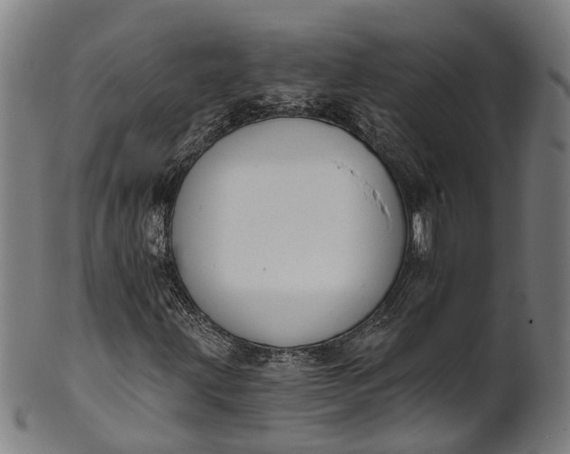 X0000101231203200807111112