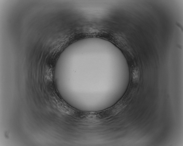 X0000101231204200807111112