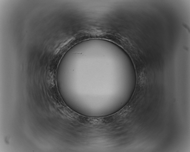 X0000101231205200807111112