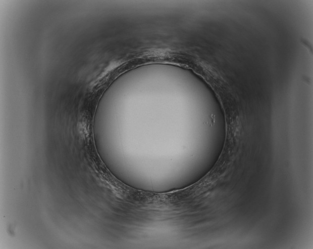 X0000101231206200807111112