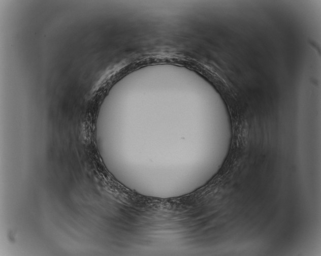 X0000101231207200807111112