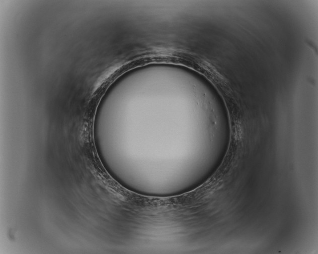 X0000101231208200807111112