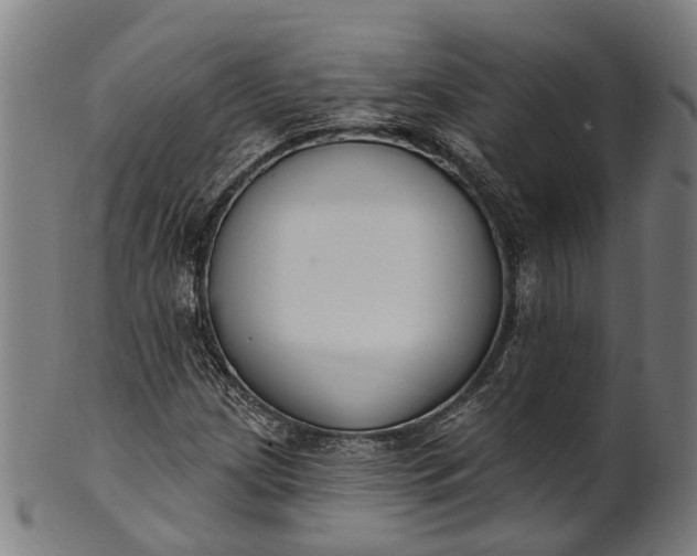 X0000101231209200807111112