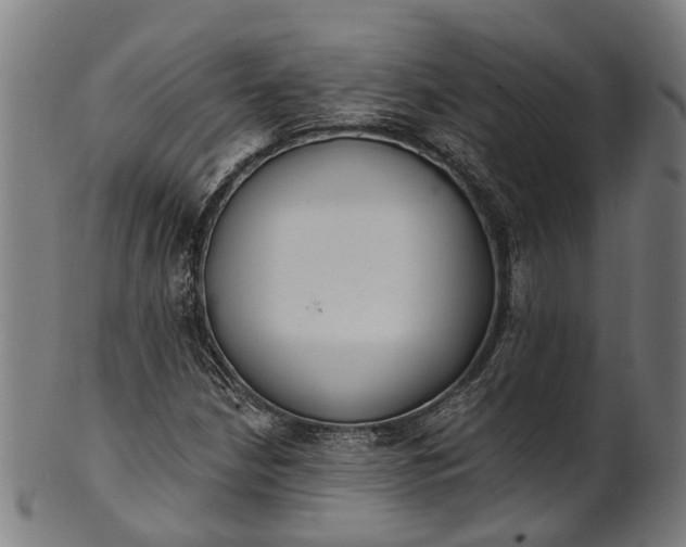 X0000101231210200807111112