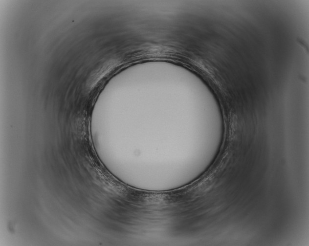 X0000101231211200807111112