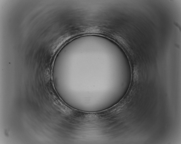 X0000101231212200807111112