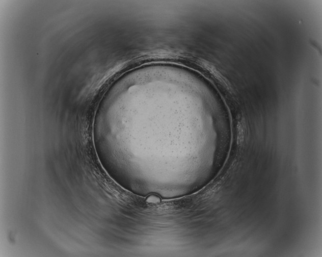 X0000101231213200807111112