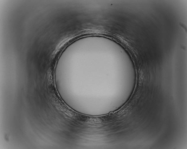 X0000101231215200807111112