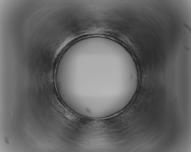 X0000101231216200807111112