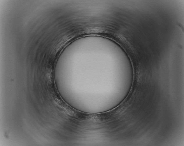 X0000101231217200807111112