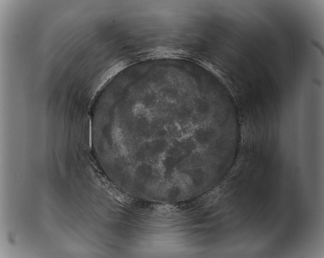 X0000101231219200807111112