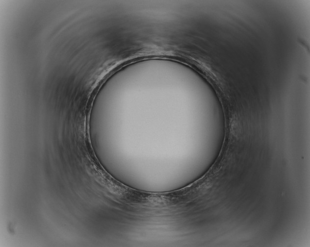 X0000101231220200807111112