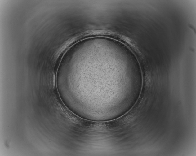 X0000101231221200807111112