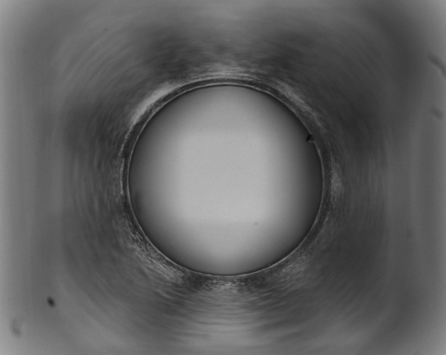 X0000101231222200807111112