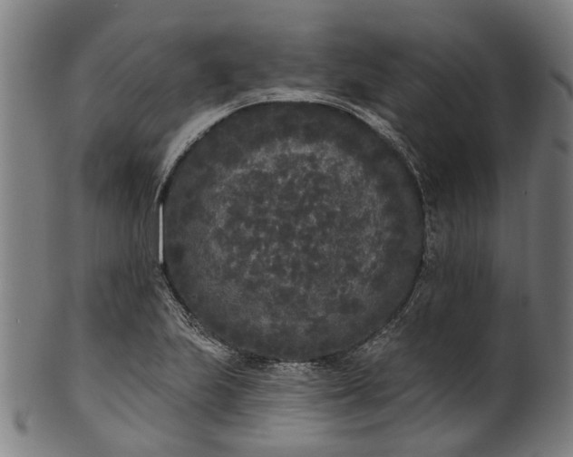 X0000101231223200807111112