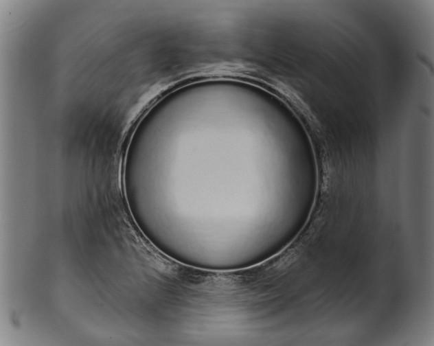 X0000101231224200807111112