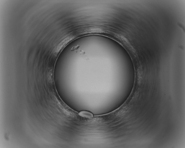 X0000101231225200807111112