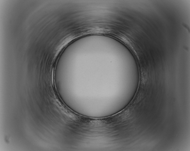 X0000101231227200807111112