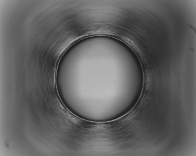 X0000101231228200807111112