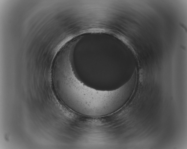 X0000101231229200807111112