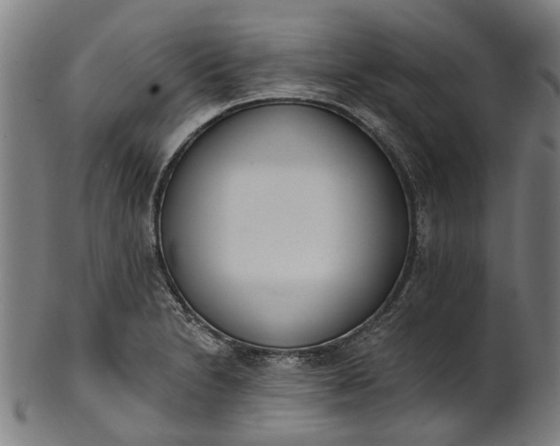 X0000101231230200807111112