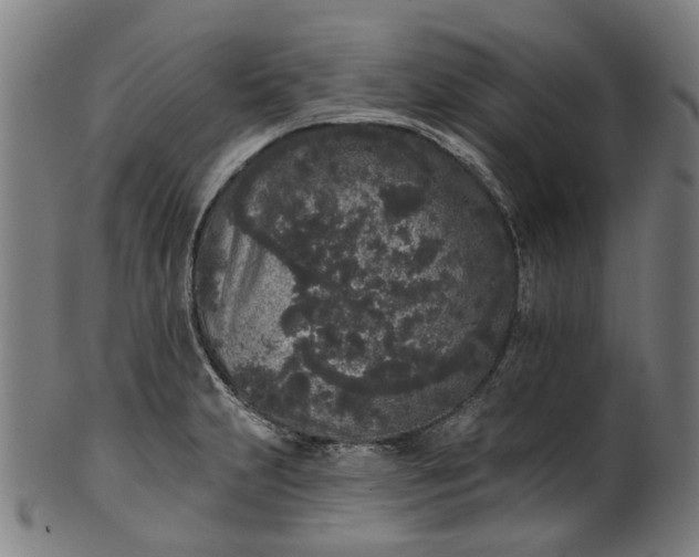 X0000101231231200807111112