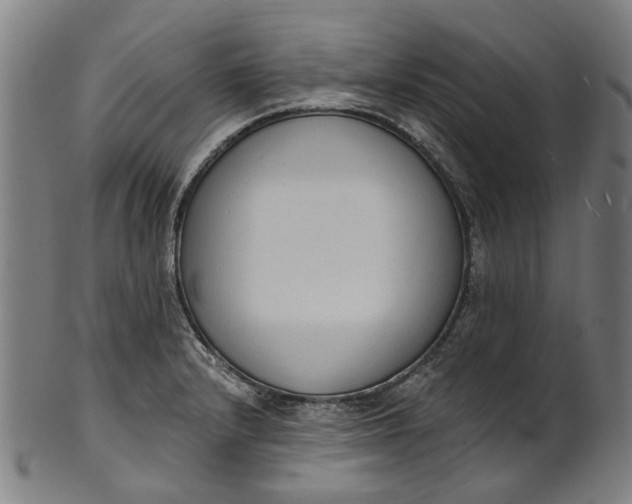 X0000101231232200807111112