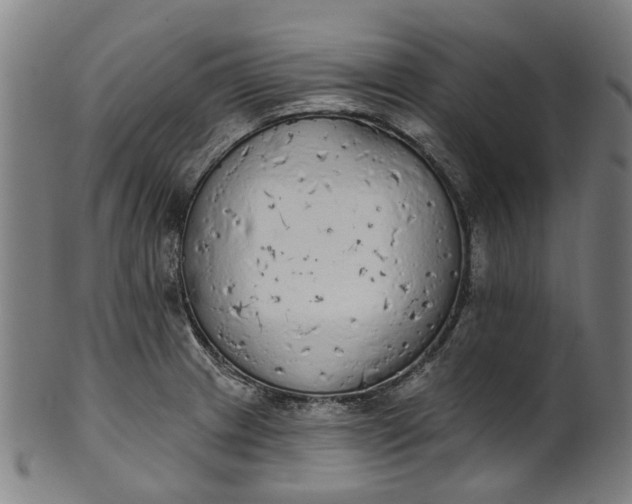 X0000101231233200807111112