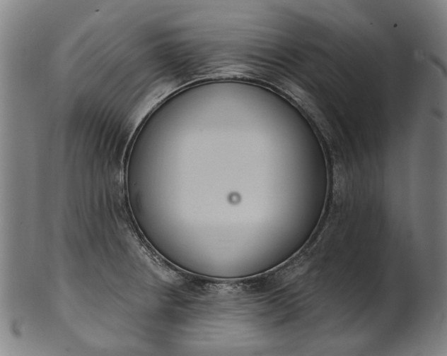 X0000101231234200807111112