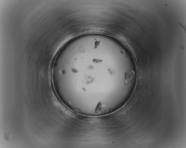 X0000101231235200807111112