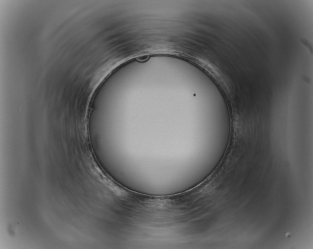 X0000101231236200807111112