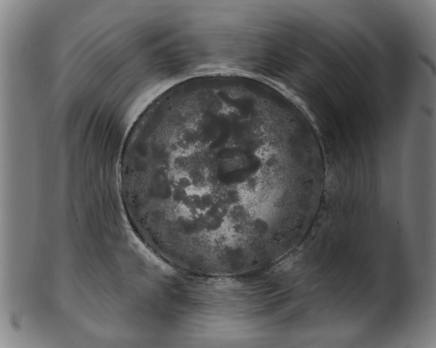 X0000101231239200807111112