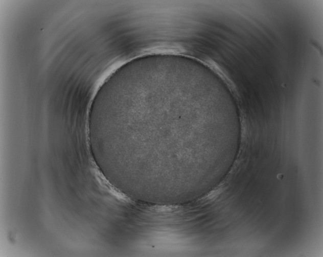 X0000101231240200807111112