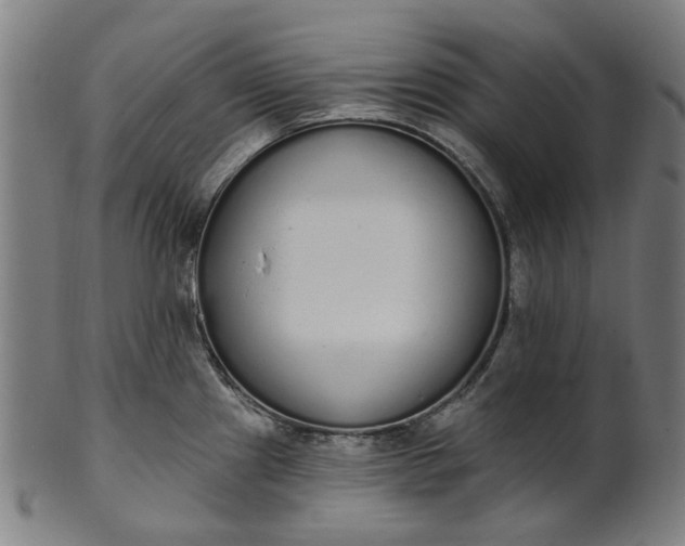 X0000101231241200807111112