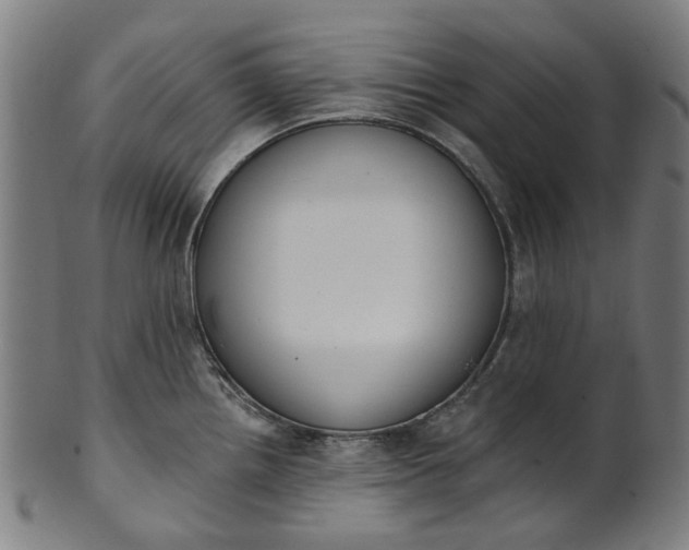 X0000101231242200807111112