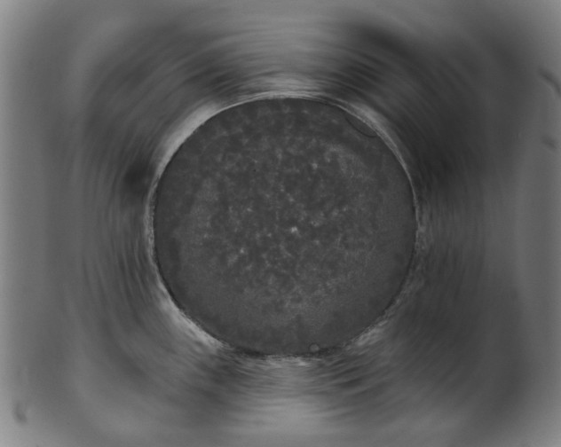 X0000101231243200807111113