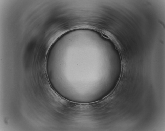 X0000101231244200807111113