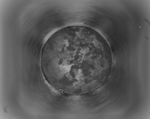 X0000101231245200807111113