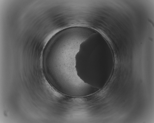 X0000101231246200807111113