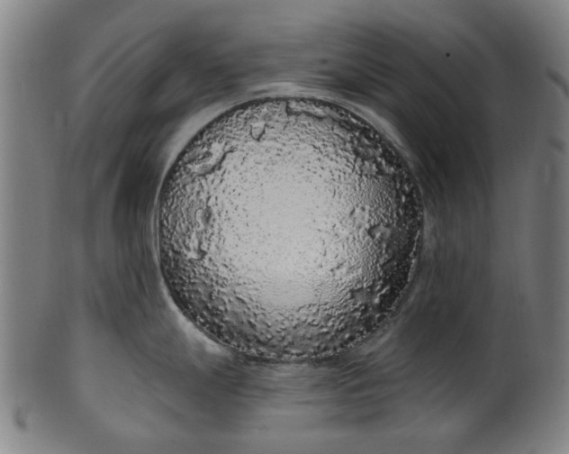 X0000101231247200807111113