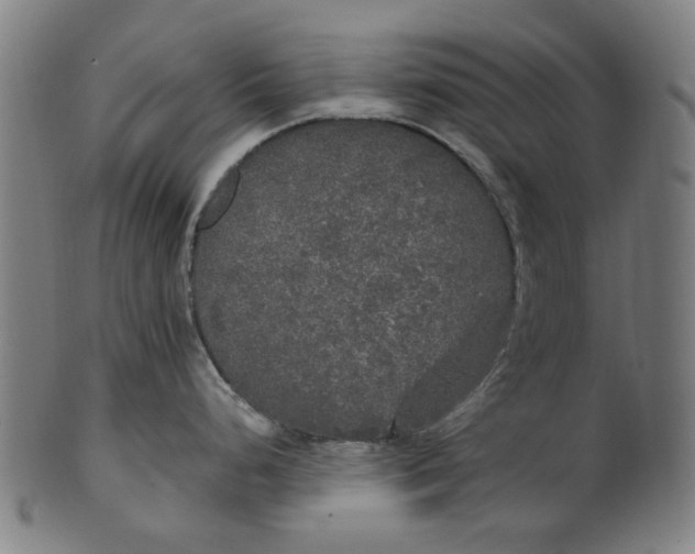 X0000101231248200807111113