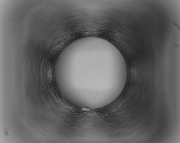 X0000101231250200807111112