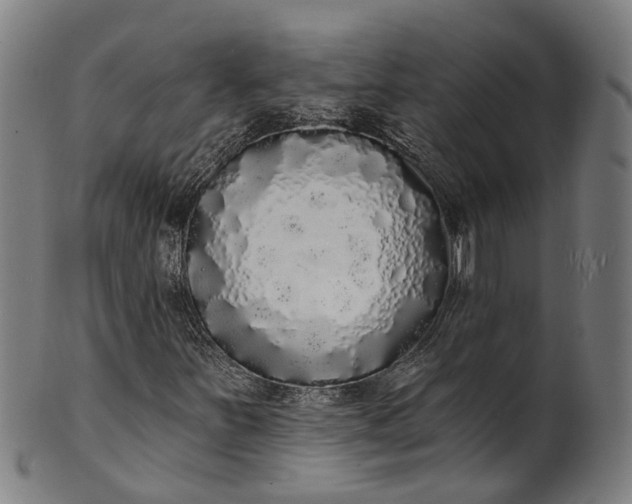 X0000101231251200807111112