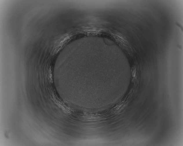 X0000101231252200807111112