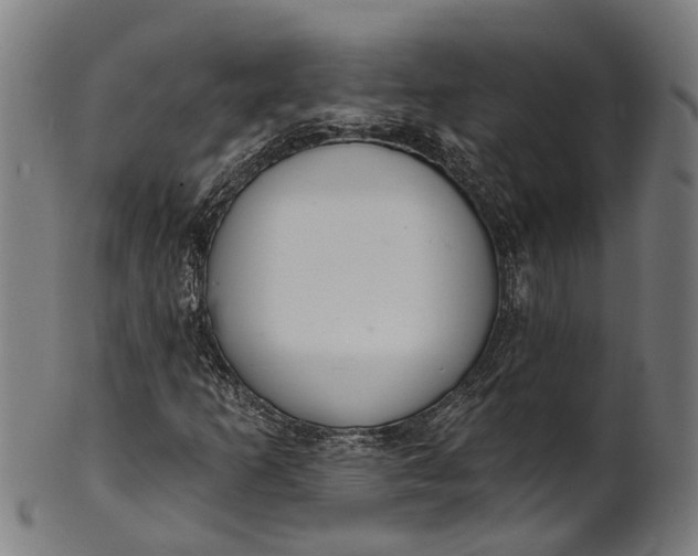 X0000101231253200807111112