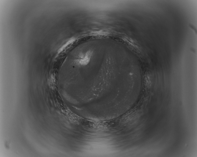 X0000101231254200807111112