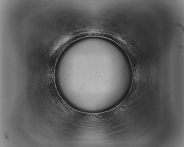 X0000101231255200807111112