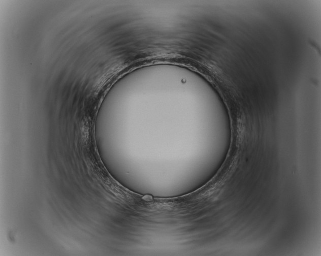 X0000101231257200807111112